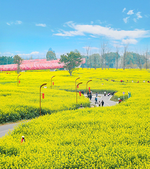  春日九寨溝．漫步彩池仙境與花開成都