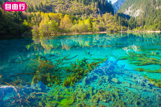 絕美九寨8日｜自由行．都江堰藍眼淚、九寨溝、樂山大佛