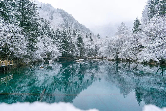 霜降・九寨自由行｜8日 九寨溝x賞雪白美景｜牟尼溝x黃龍溪x峨嵋山x都江堰

