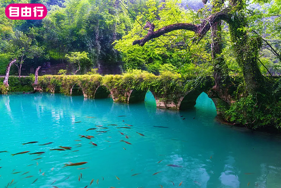 多彩貴州｜8日‧自由行 黃果樹瀑布x大小七孔x千戶苗寨x天河潭瀑布