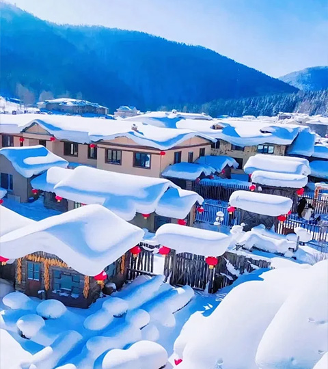  雪舞哈爾濱．邂逅冰雪大世界與童話雪鄉