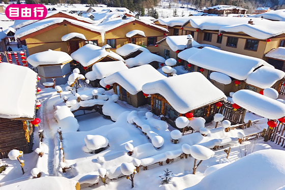 冬季哈爾濱｜8日童話自由行．童話雪鄉x冰雪大世界x霧淞美景x大型冰雕展
