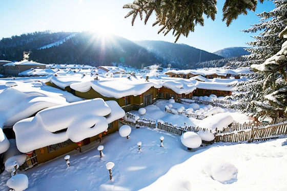 冬季哈爾濱｜8日童話自由行．童話雪鄉x冰雪大世界x霧淞美景x大型冰雕展