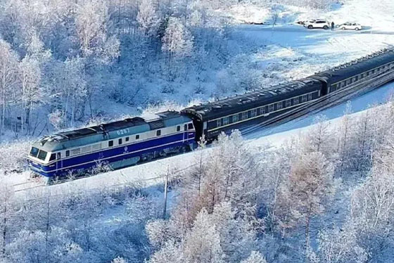 夢幻極光｜哈爾濱x漠河8日自由行-極光．冰雪大世界．冰雪之旅