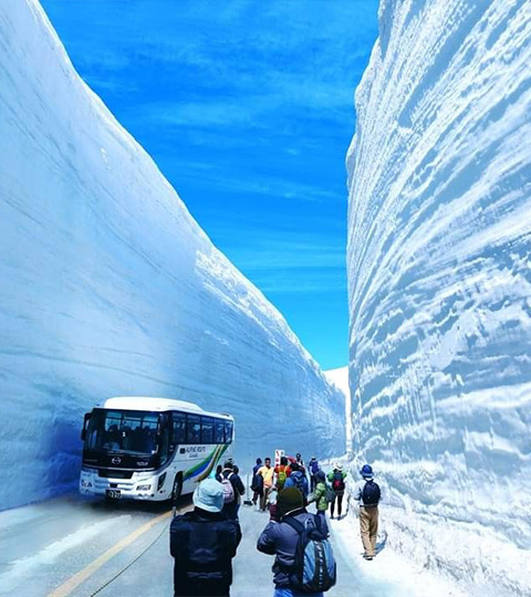  穿越雪之大谷．漫遊黑部立山與合掌村童話雪國