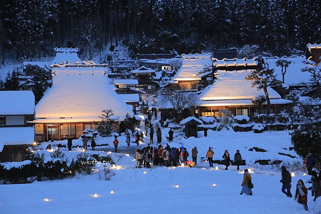 賀歲關西｜高知城光祭．仁淀川屋形船．溫泉饗宴4日